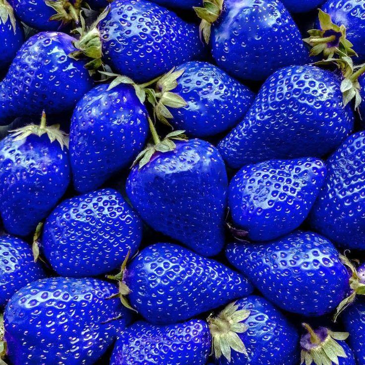 Garden's Whisper: Nature's Berry Symphony